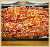 인주나루터장어