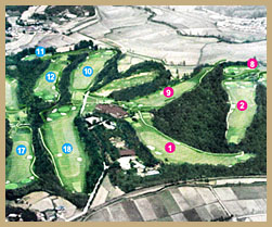 도고컨트리클럽