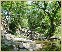 강당골