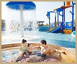 파라다이스 스파도고