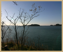 도비도 농어촌휴양단지